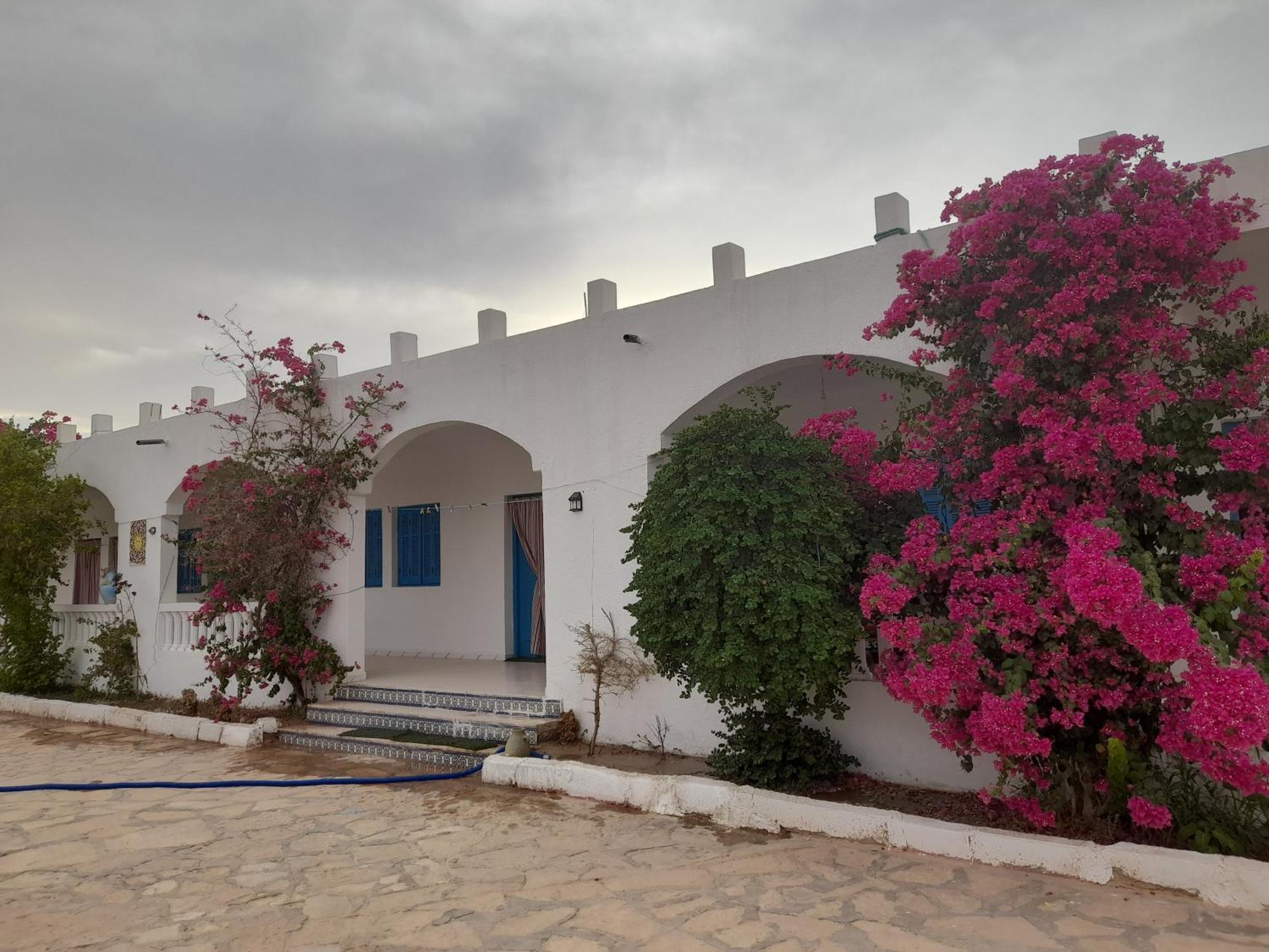 Residence Nour Дуз Экстерьер фото